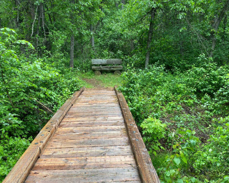 Dugout Gulch Botanical Trail