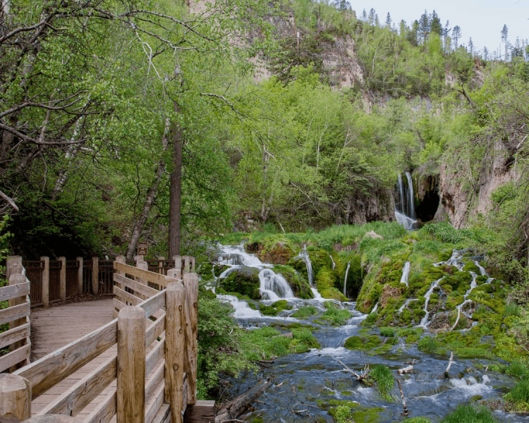 Spearfish Canyon Trails At Savoy