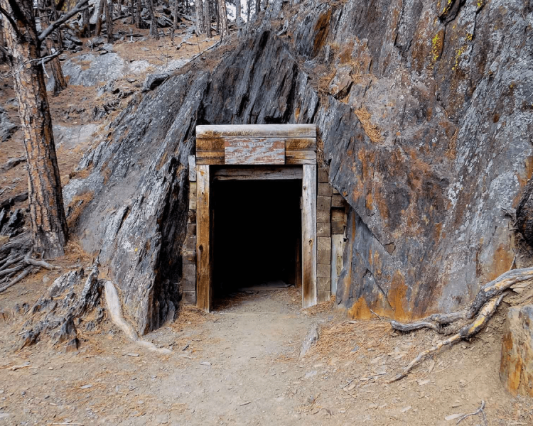 Spring Creek Loop Trail