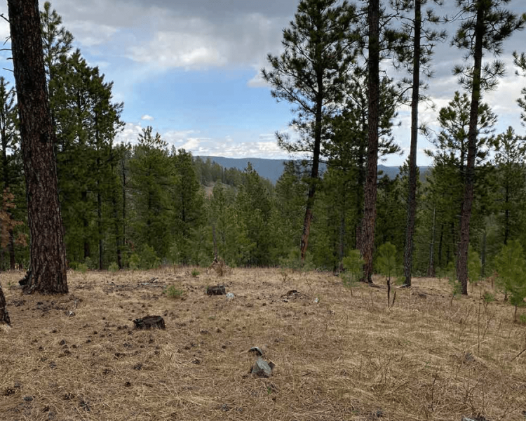 Centennial Trail - Rapid Creek To Brush Creek