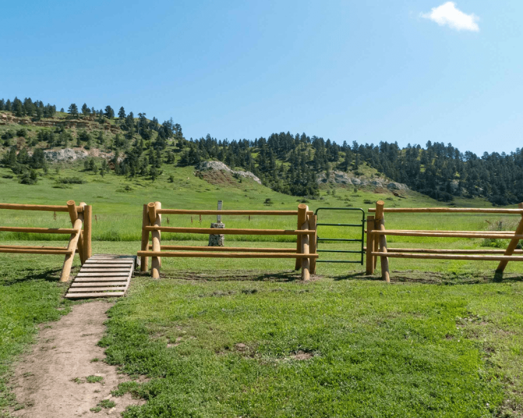 Lookout Mountain Large Loop