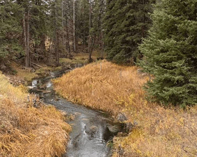 Mickelson Trail - Sugarloaf to Englewood