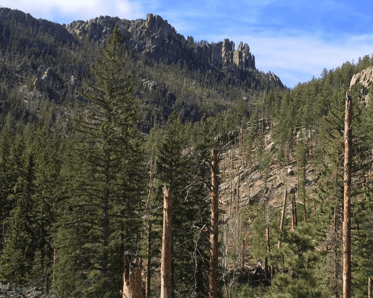 Top 7 Trails in Custer State Park