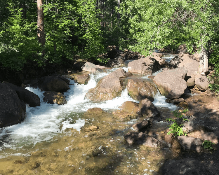 Black Hills Hikes To Beat The Heat