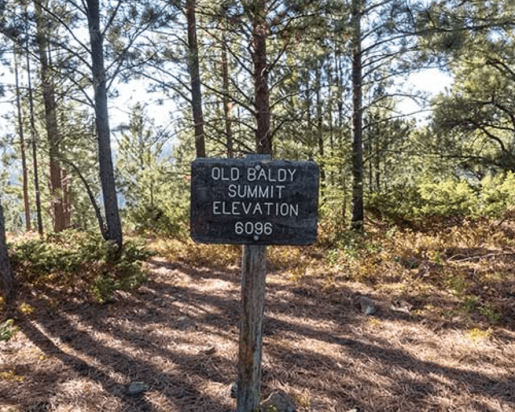 Old Baldy Trail