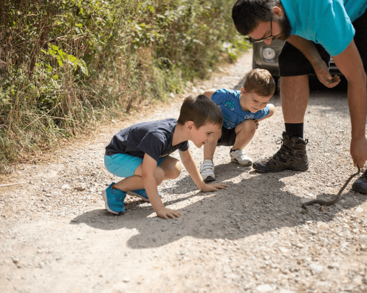 7 Tips For Hiking With Kids