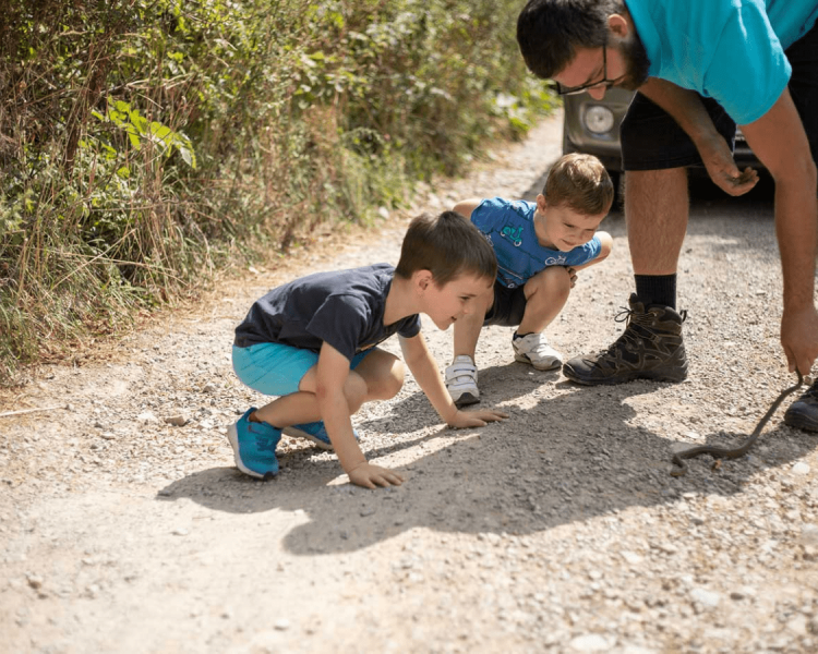 7 Tips For Hiking With Kids