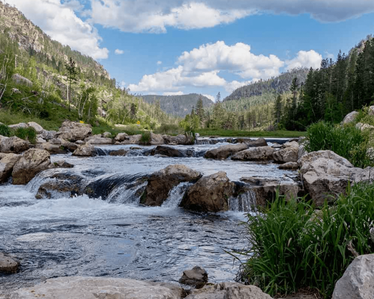 Spearfish Canyon Trails At Savoy