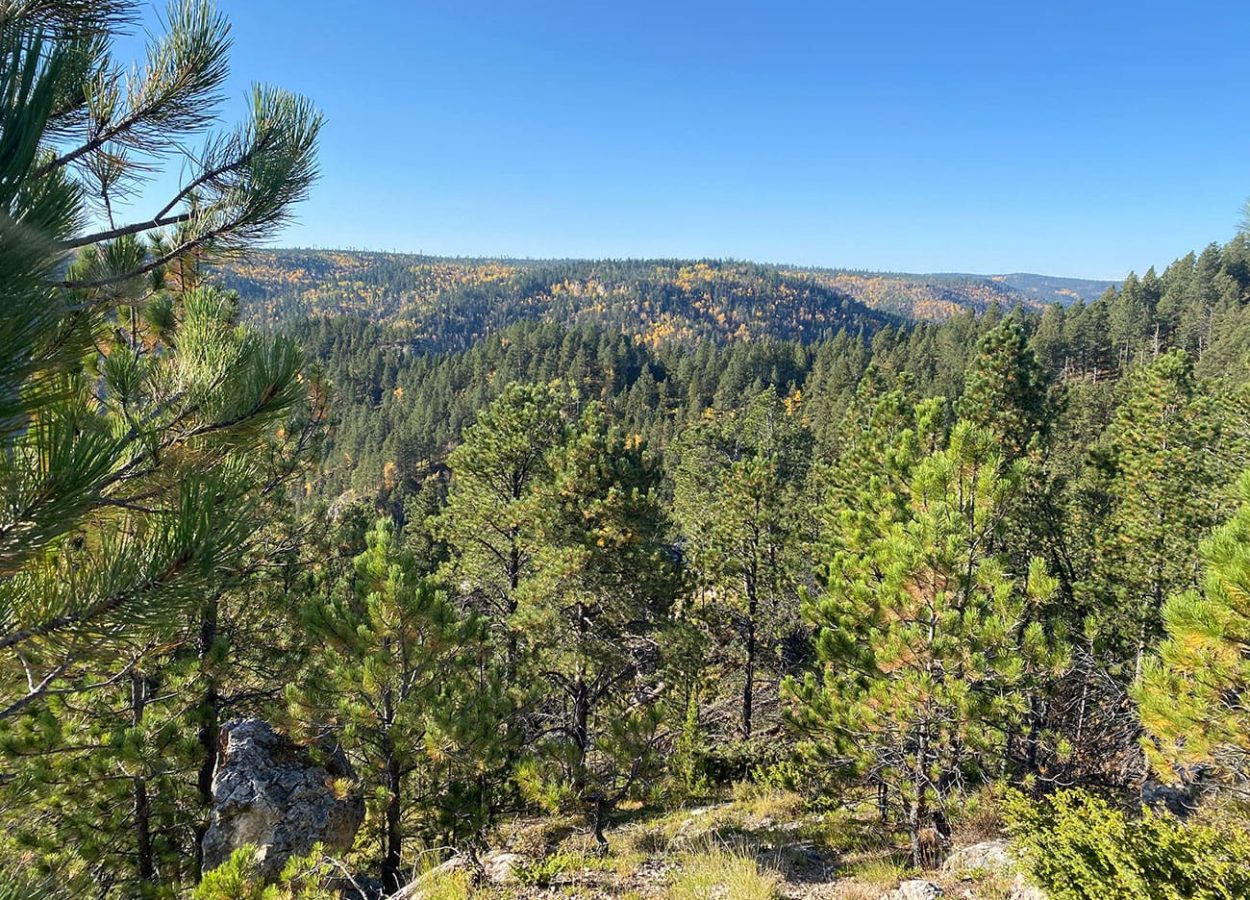 76 trail summit view