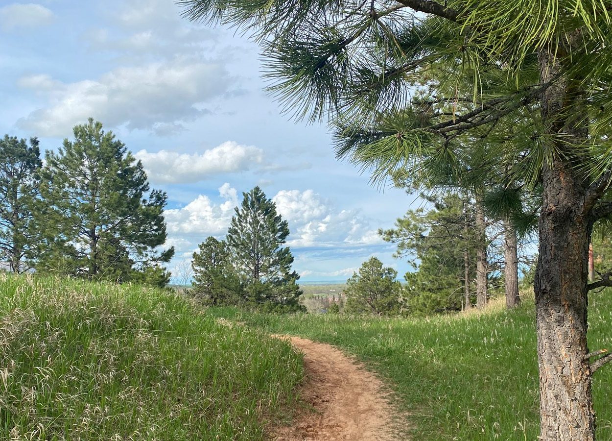7th Cavalry Trail Trees