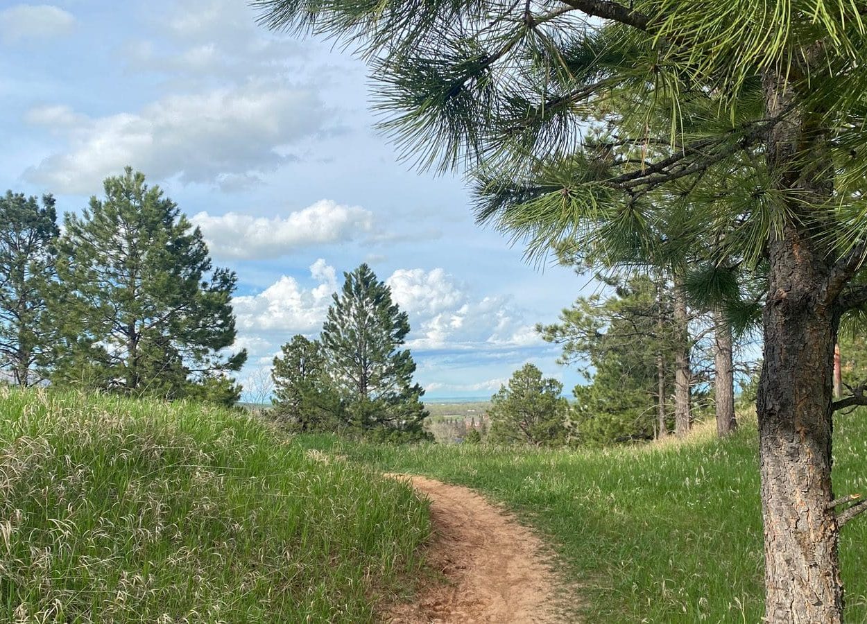 7th Cavalry Trail Trees