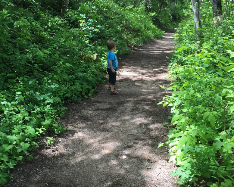 Black Hills Hikes To Beat The Heat
