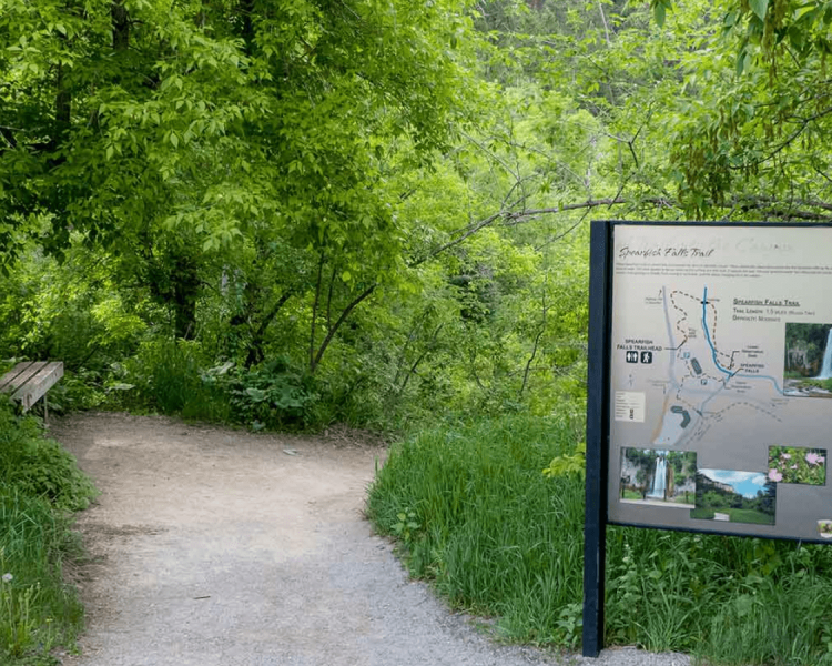 Spearfish Canyon Trails At Savoy
