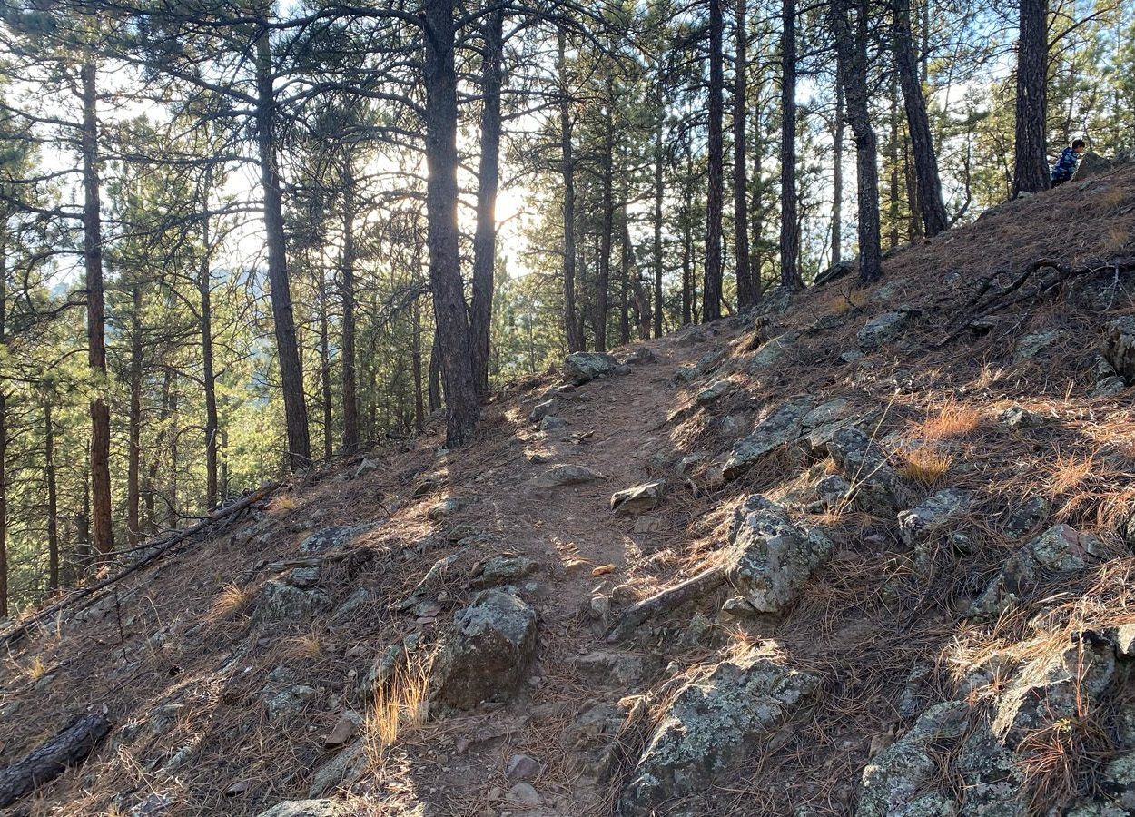 Badger Clark Shaded Tree Area