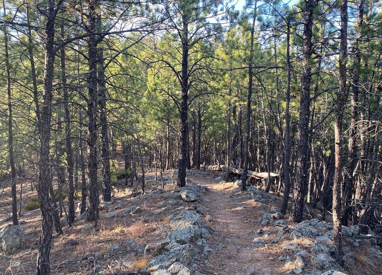 Badger Clark Trail Area