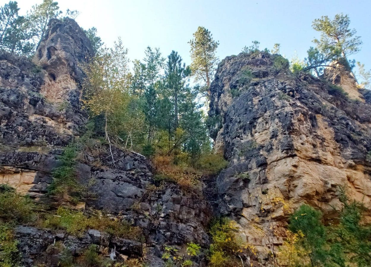 Botany Canyon Trees In Rocks
