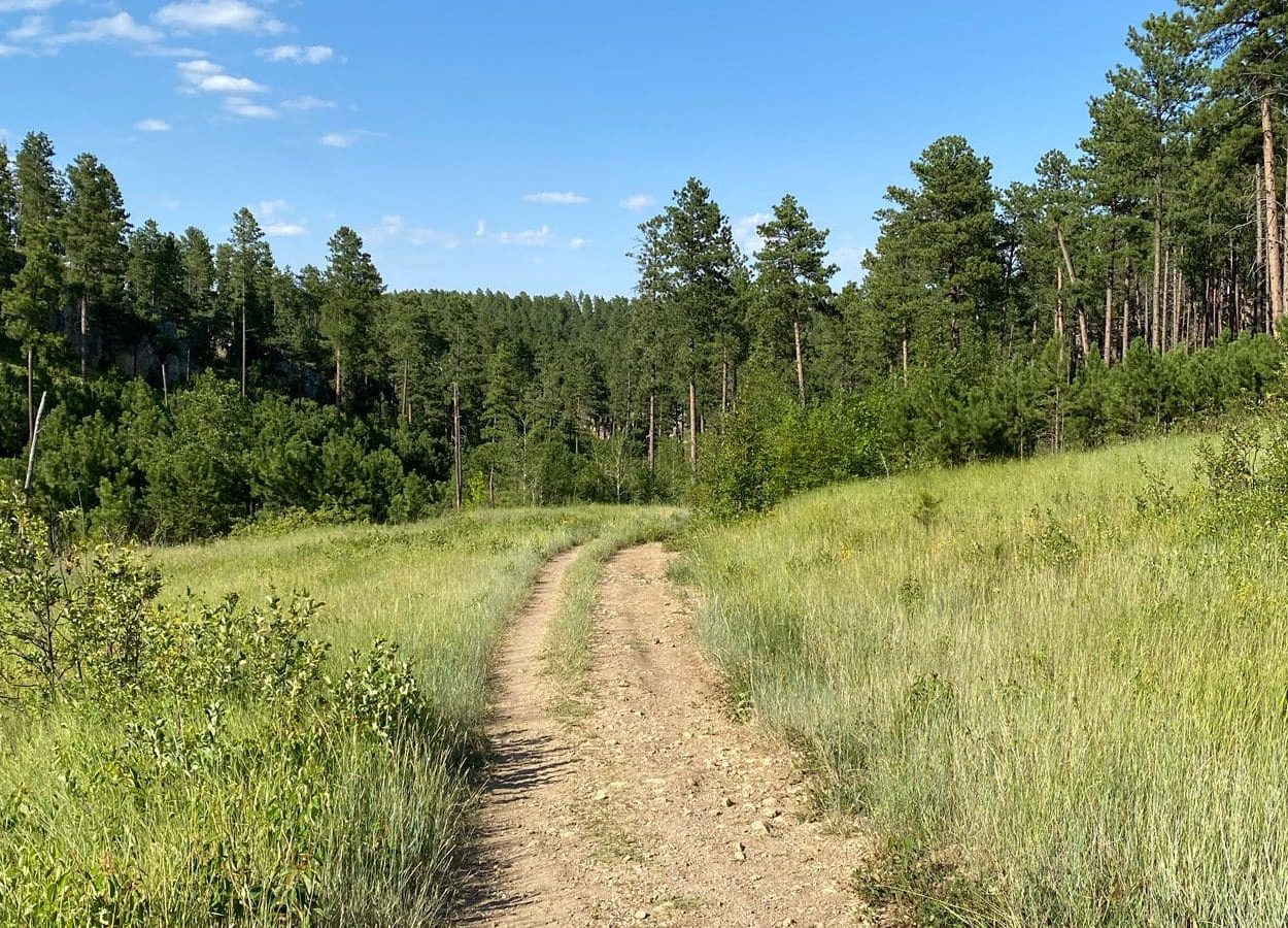 Buzzard's Roost Trail
