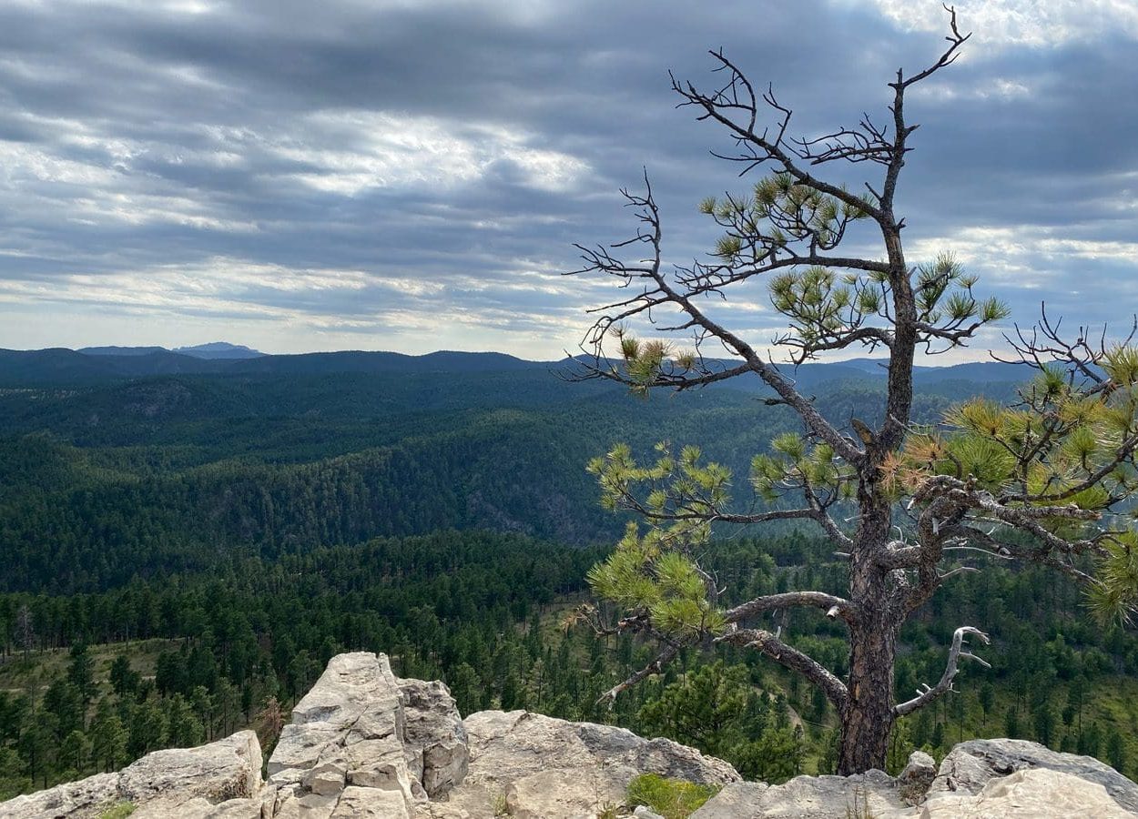 Buzzard's Roost Overlook