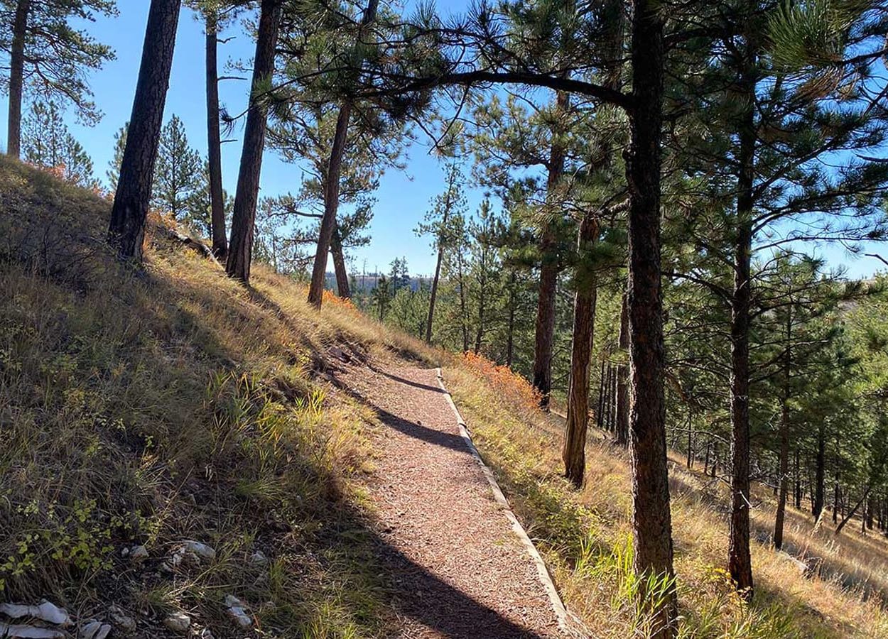 Canyons Trail Tree Laden Walkway