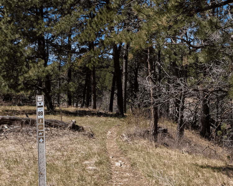 Centennial Trail - Alkali Creek to Elk Creek open field with trail and marker