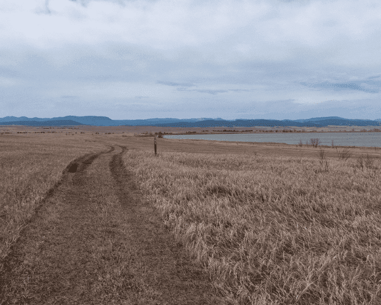 Centennial Trail - Bear Butte Lake grassy open hiking trail