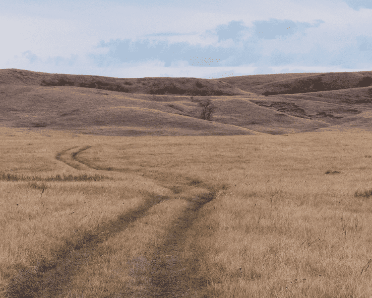 Centennial Trail - Bear Butte Lake grassy open land with driven path