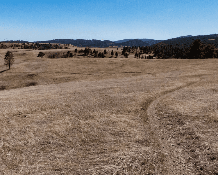 Centennial Trail - Fort Meade to Alkali Creek open grassy plains
