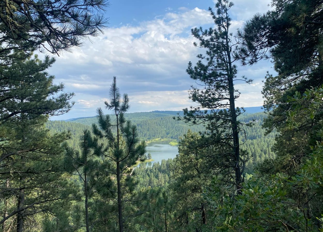Cliff Swallow Lake View