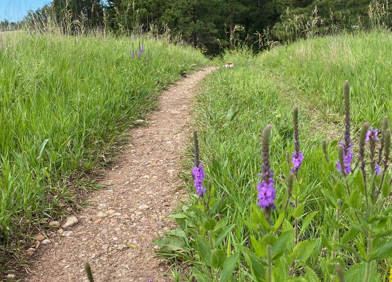 Cold Brook Canyon Flowers