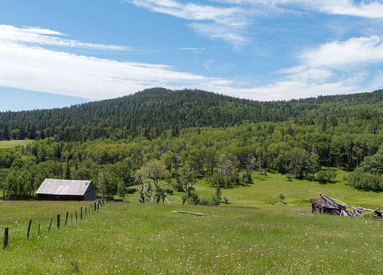 Custer Peak Green Hill