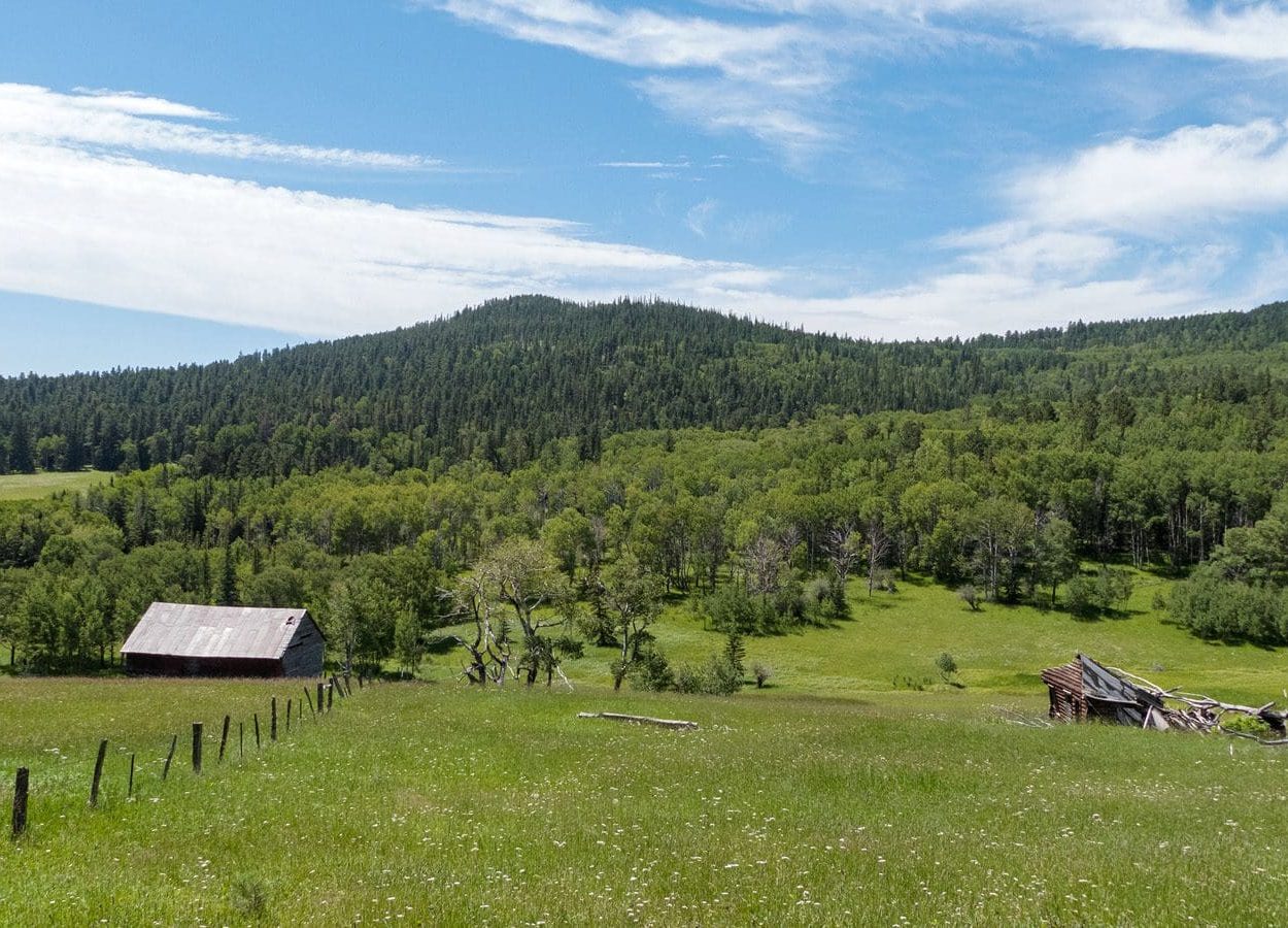 Custer Peak Green Hill