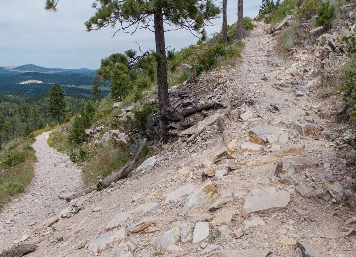 Custer Peak Rock Path