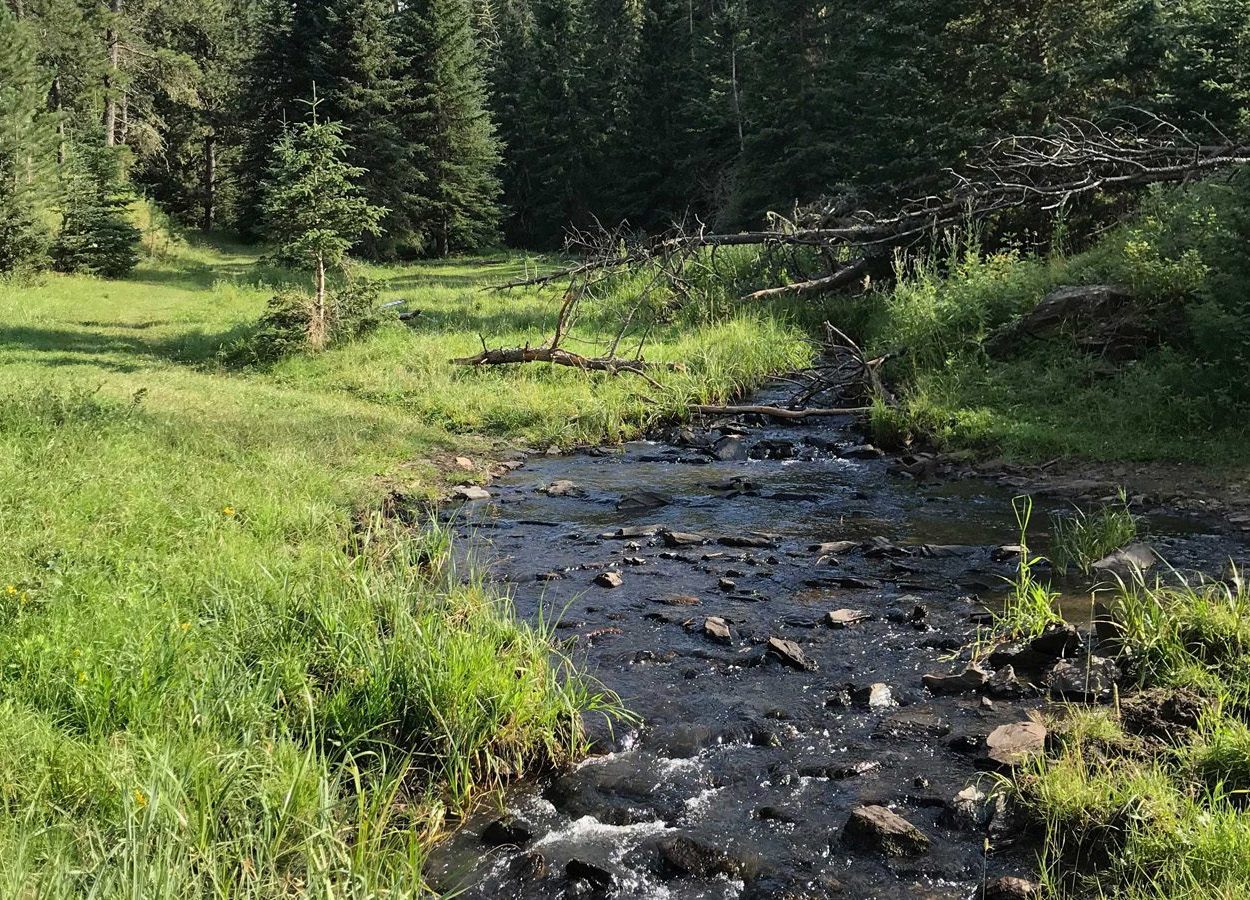 Deerfield Lake Loop Stream