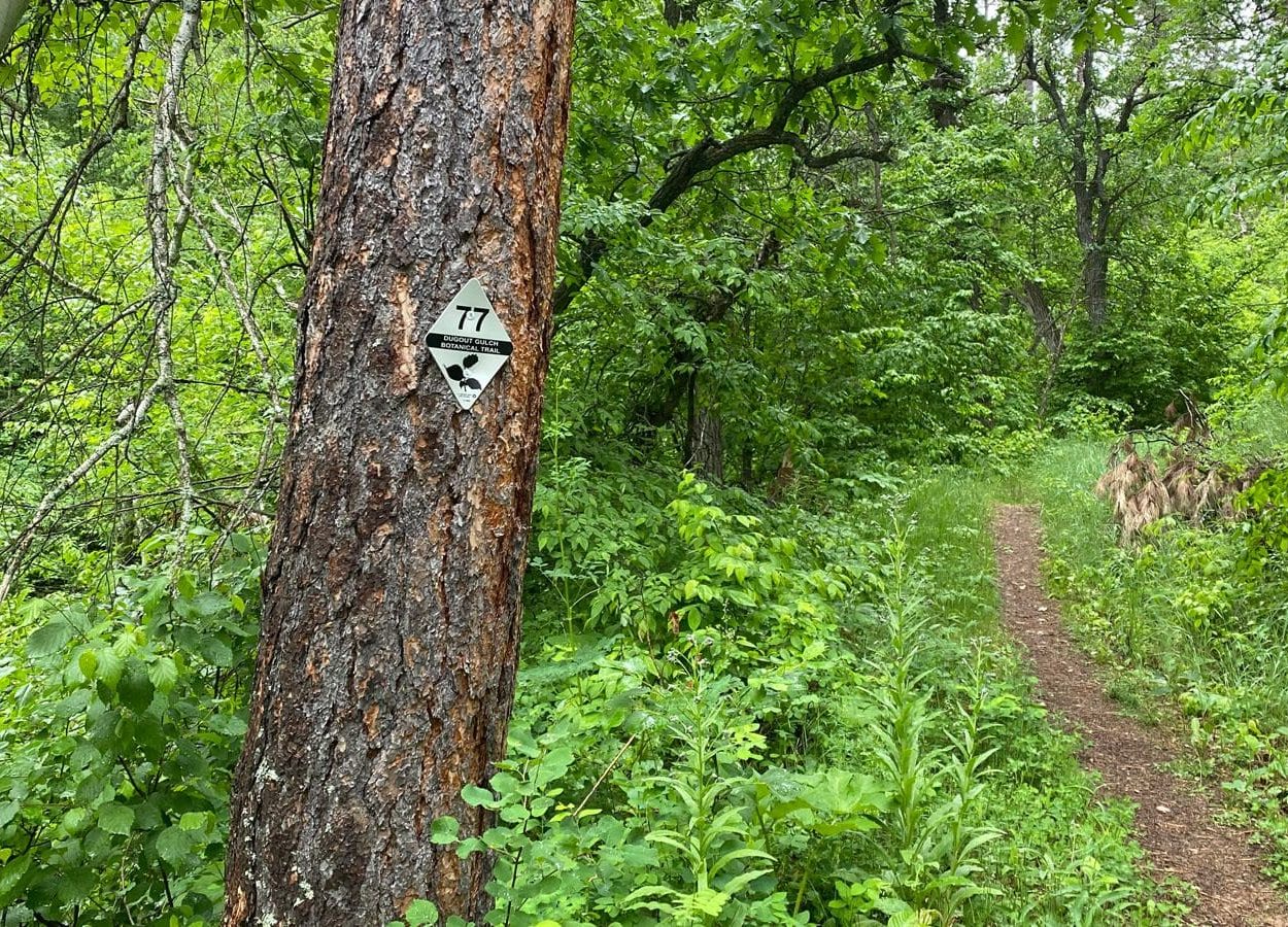 Dugout Bridge Trail Marker