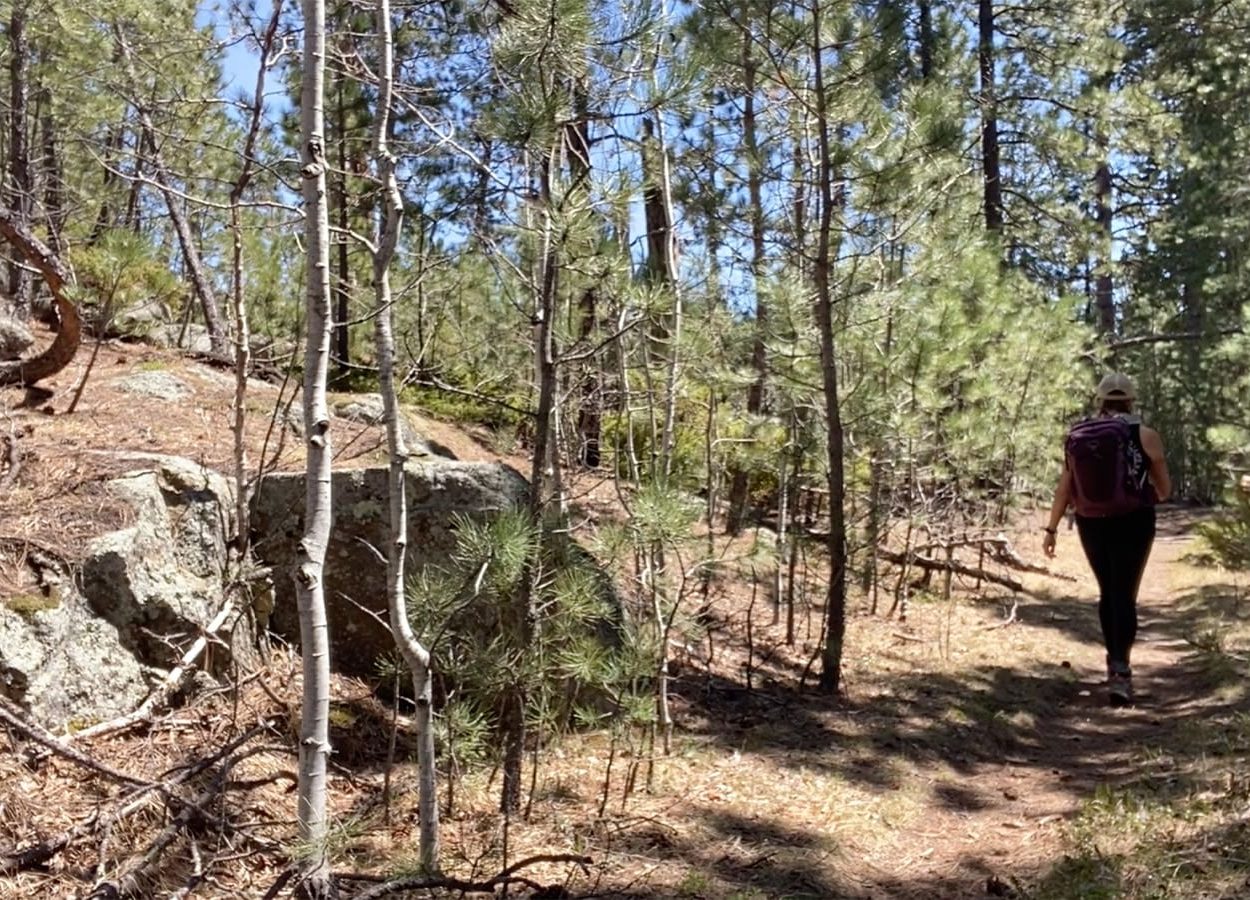 Grizzly Bear Creek Hiker On Trail
