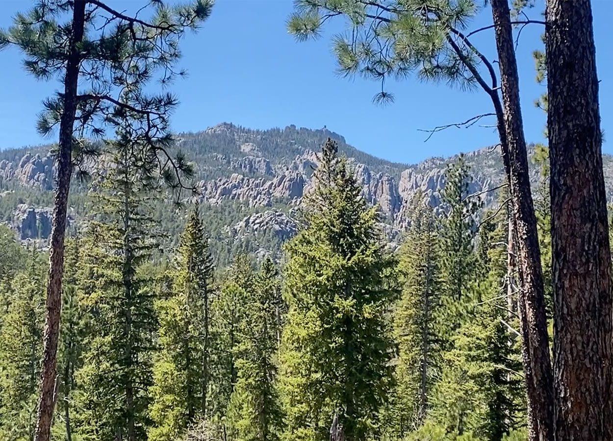 Grizzly Bear Creek Mountain Peak