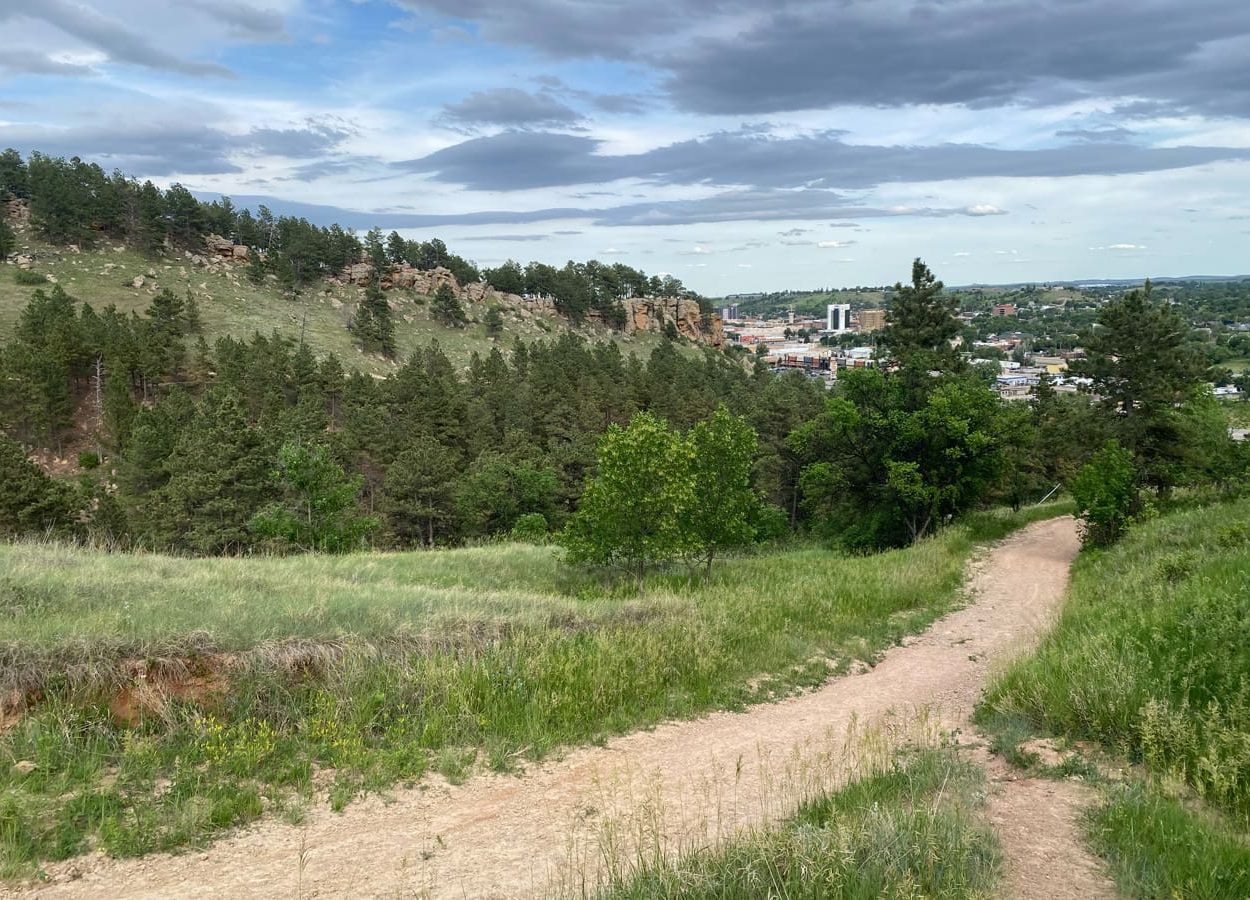 Hanson-Larsen Town View 2