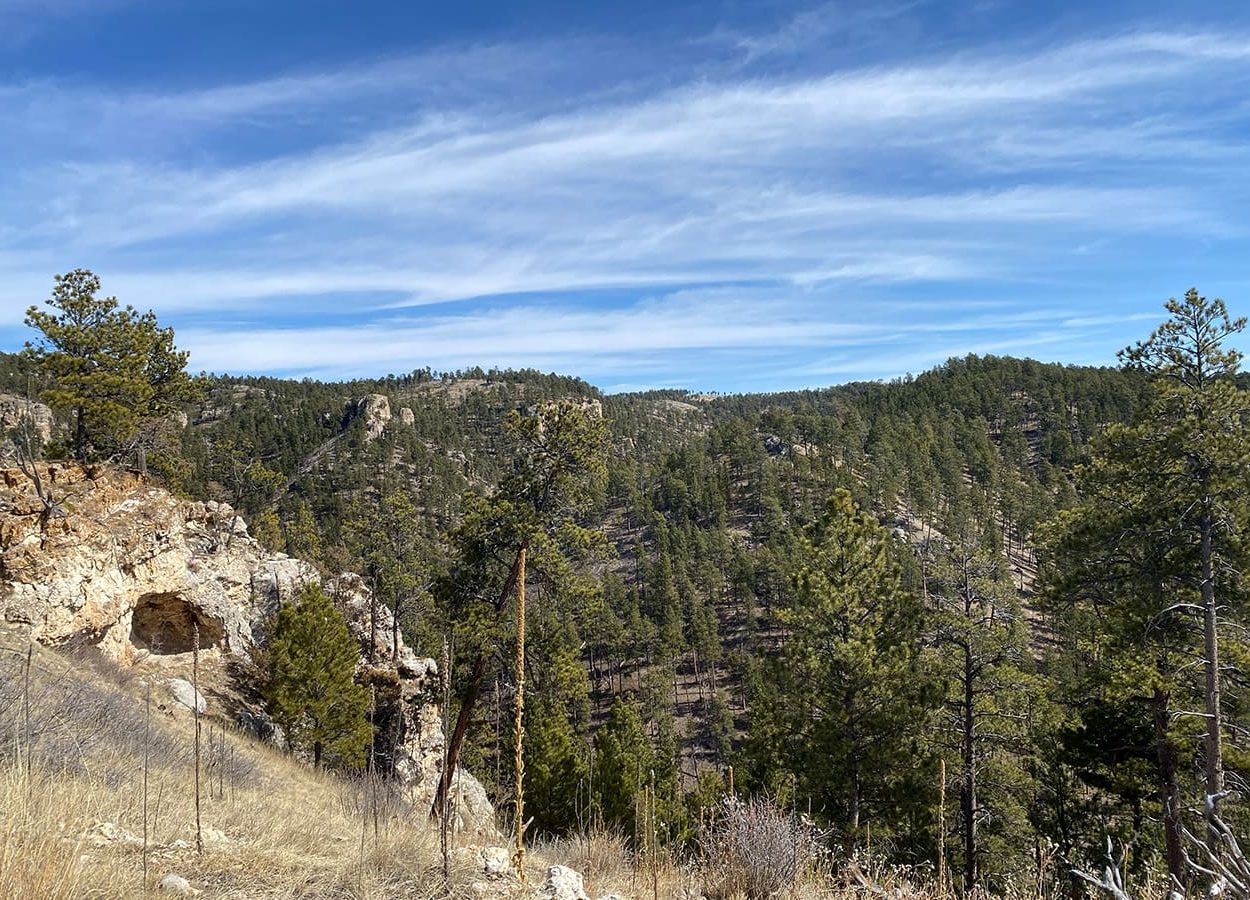 Hell Canyon Tree View