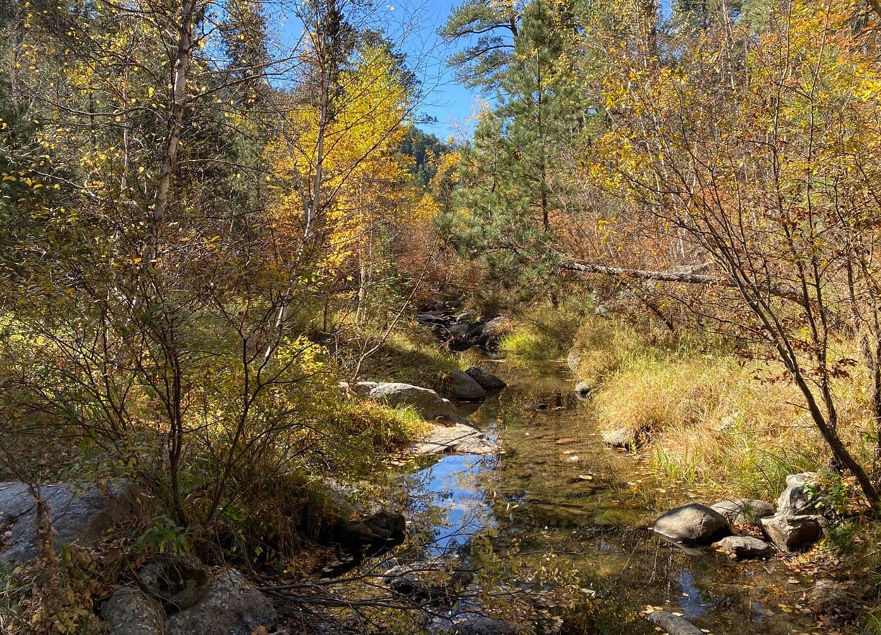 Iron Creek SH Creek Image