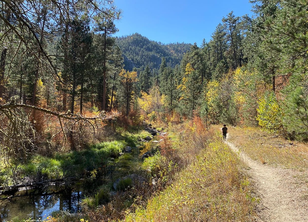 Iron Creek SH Boy On Trail Header