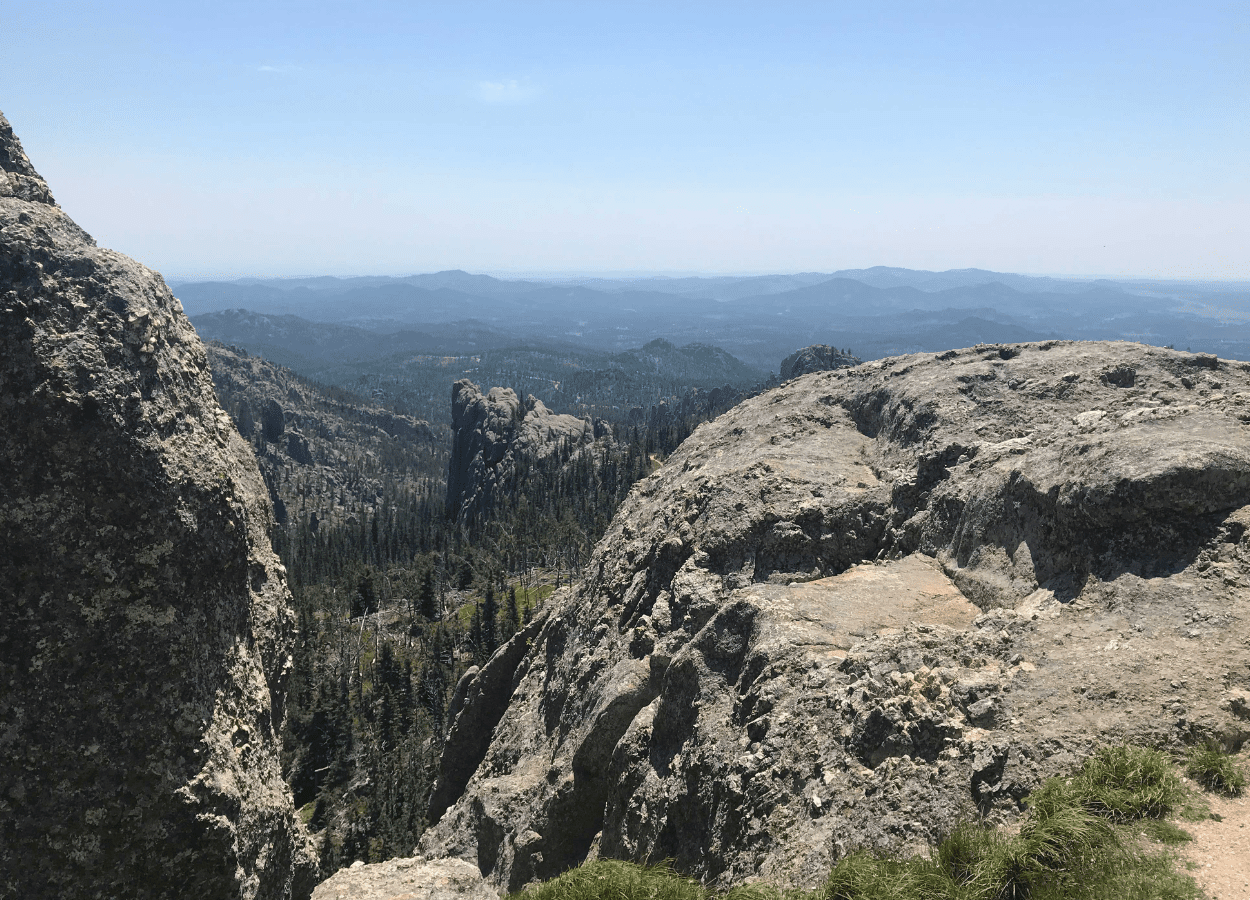 Overlook of pine trees and a clear blue sky while hiking at Little Devils Tower