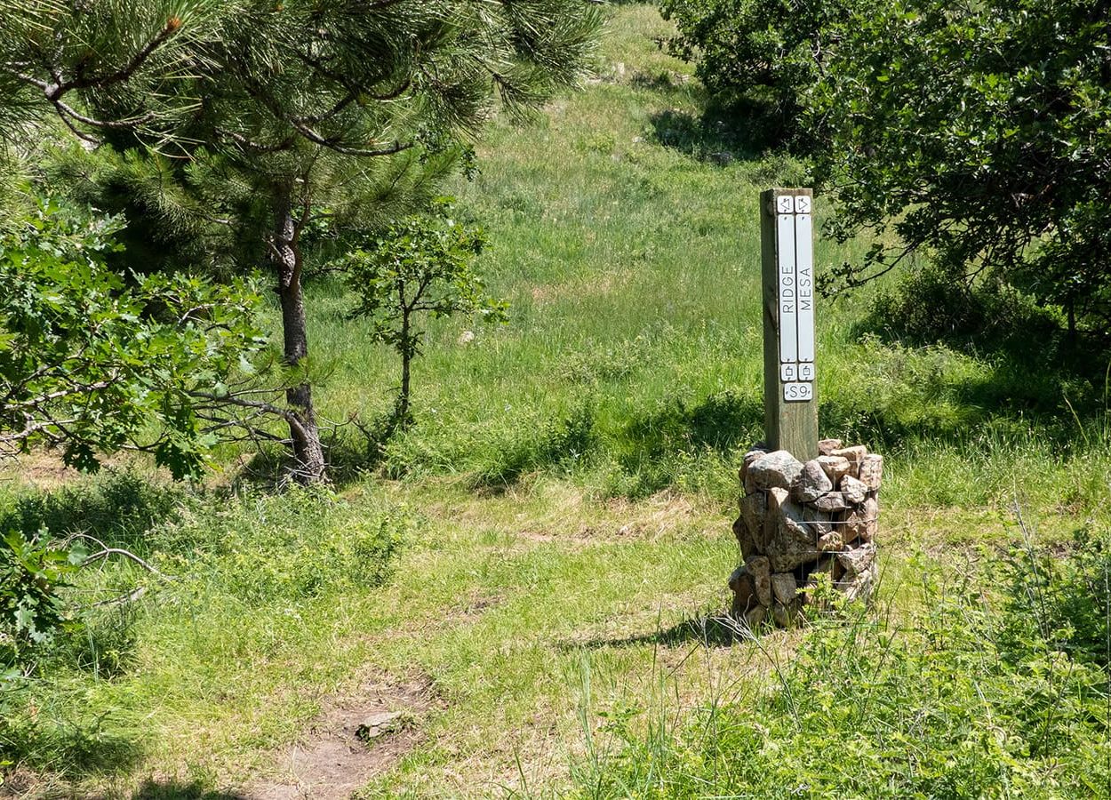 Lookout Mountain Large Loop Trail Marker
