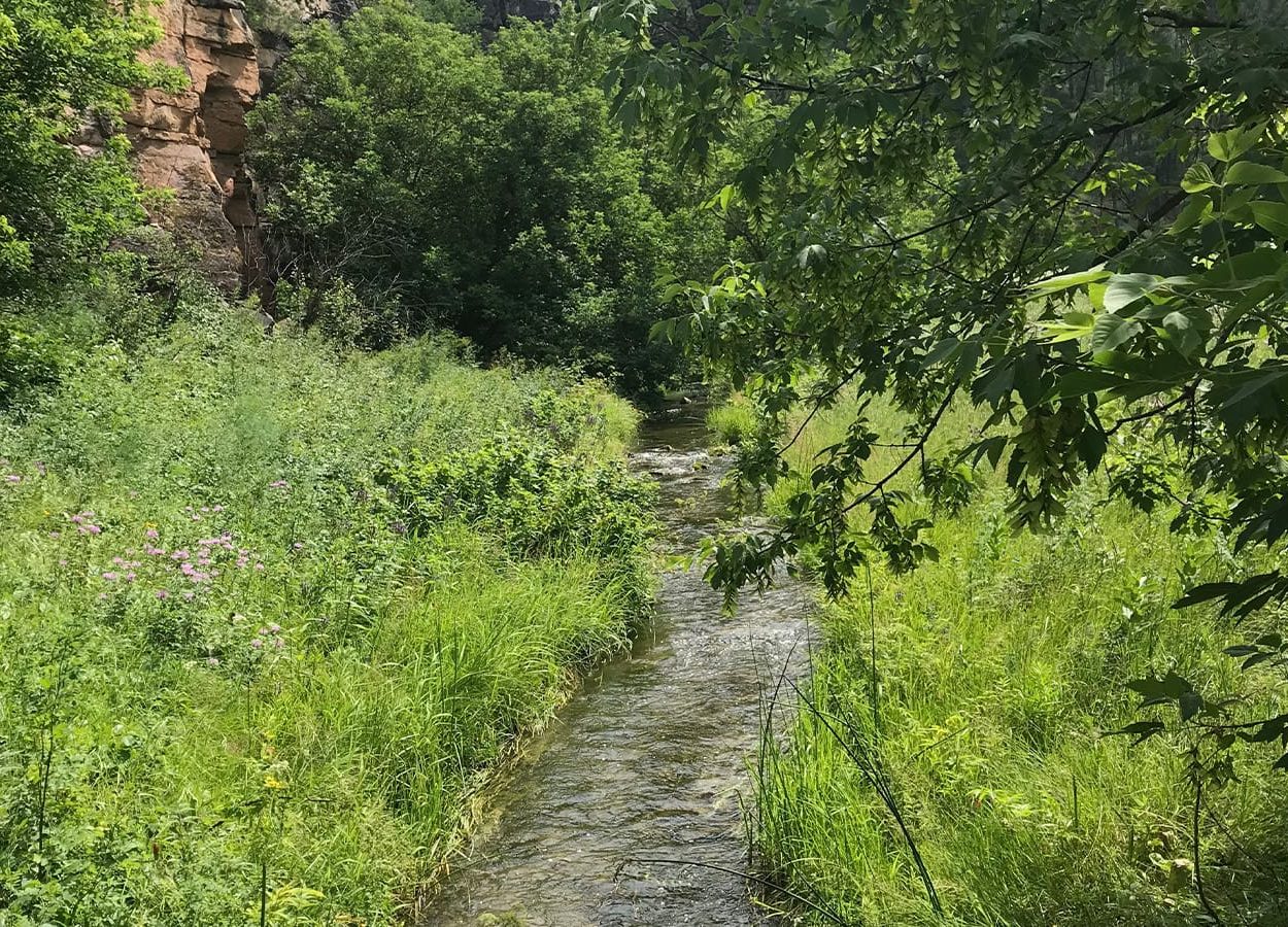 Lookout Point Lush Creek