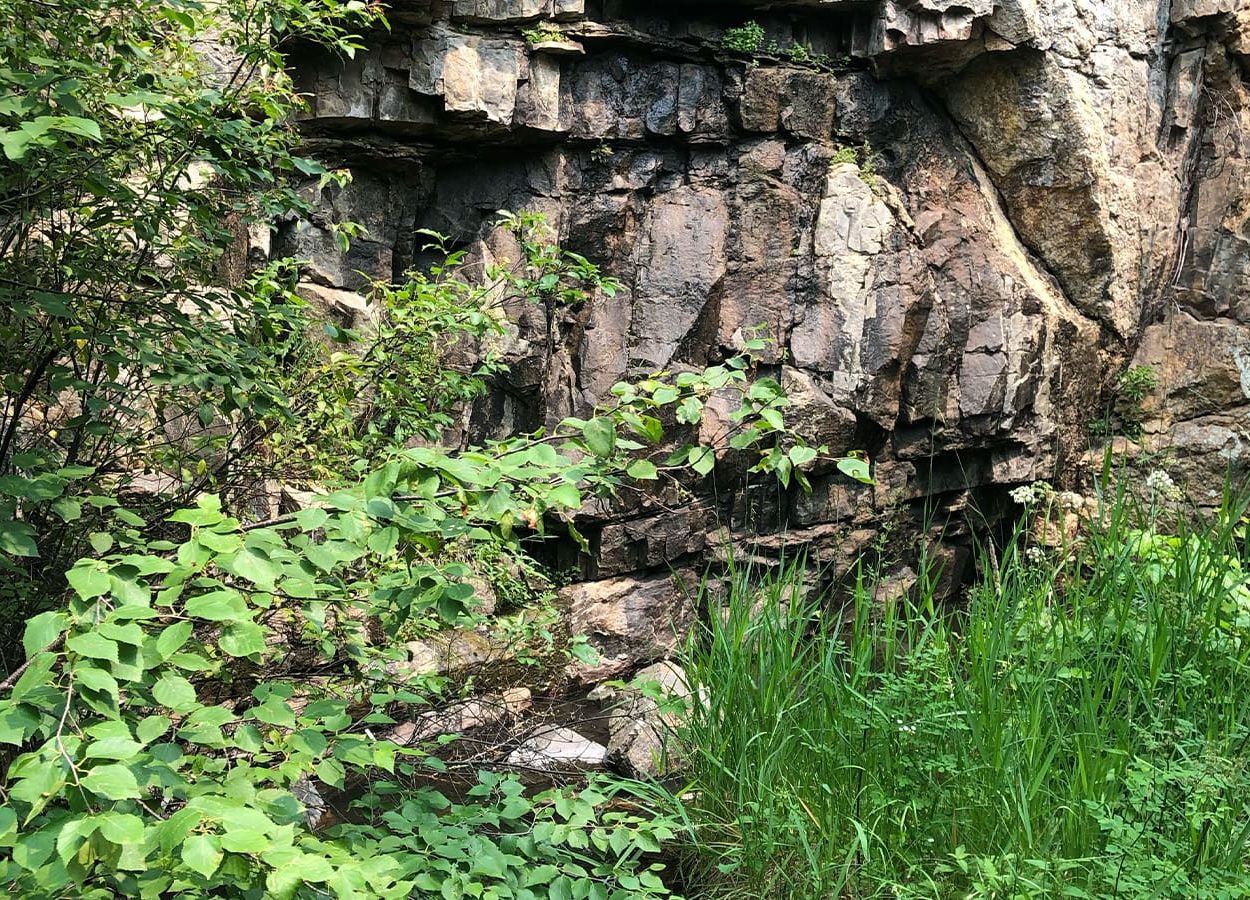 Lovers Leap Greenery