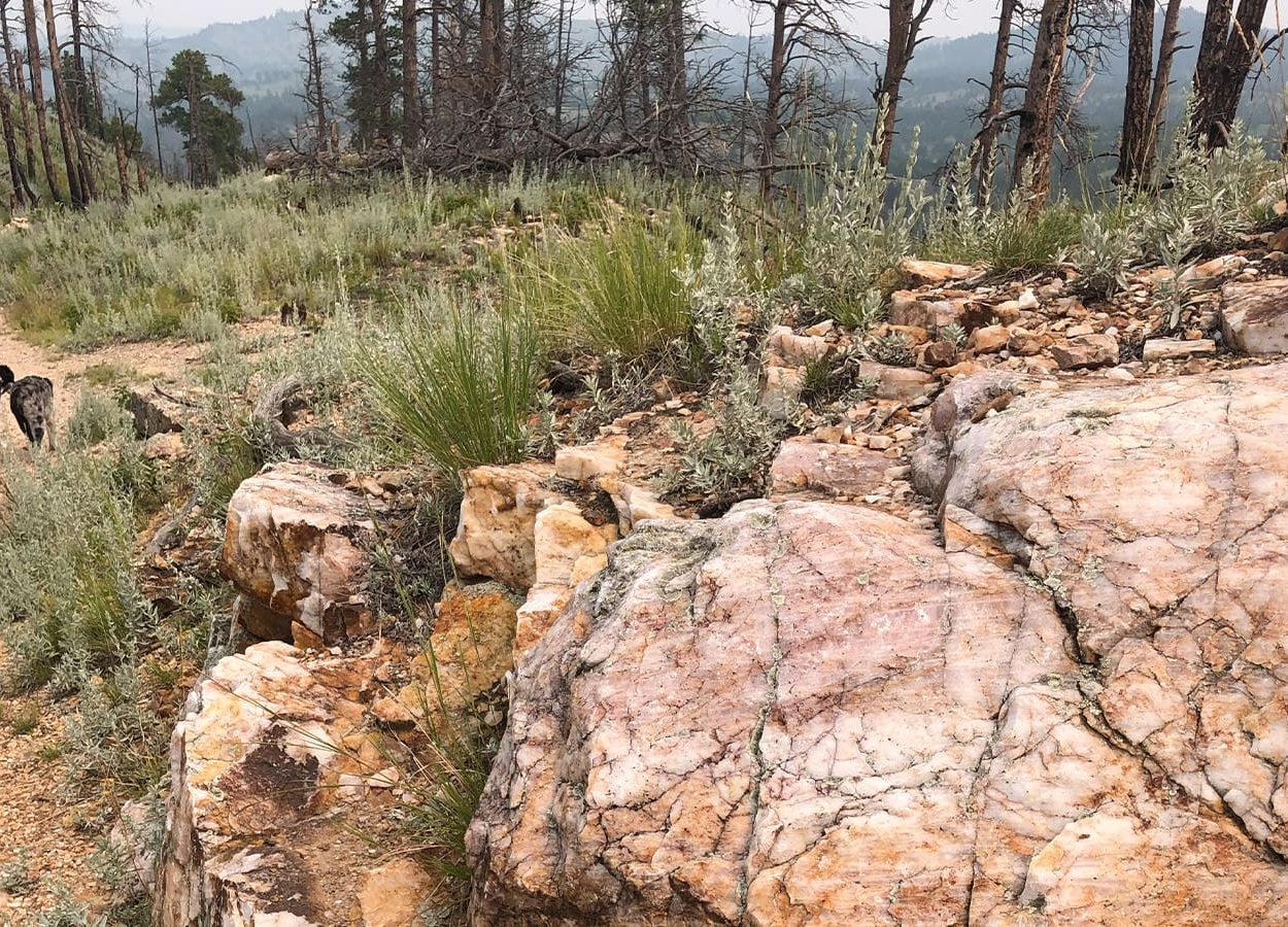 Lovers Leap Rocky Top