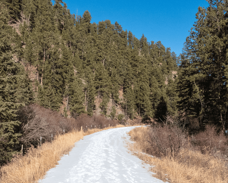 Mickelson Trail - Hill City Trailhead snowy pathway through trees