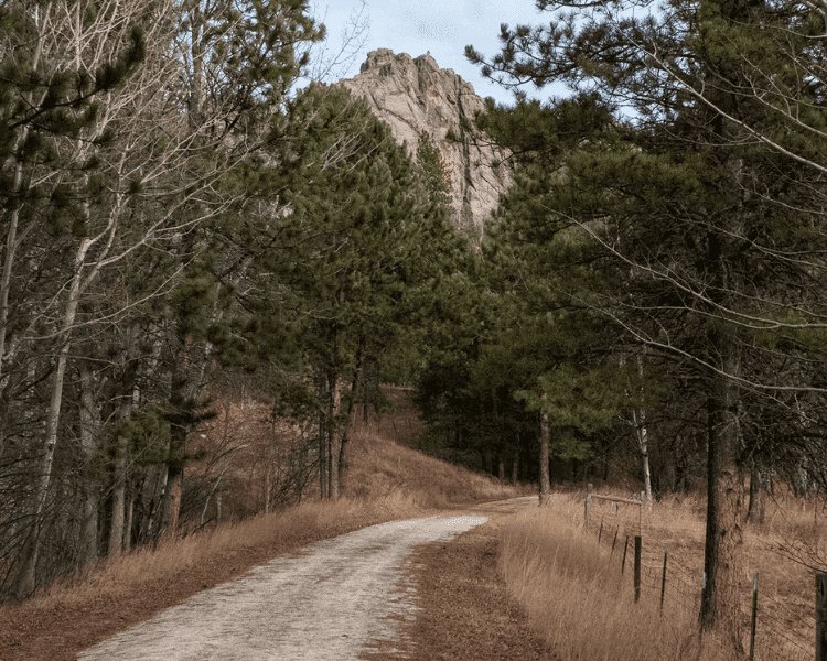 Mickelson Trail - The Mountain Trailhead large curved hiking path
