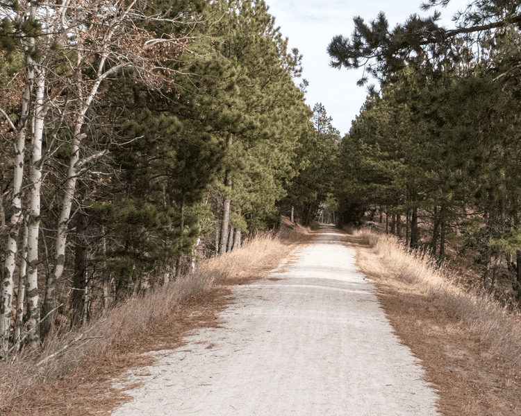 Mickelson Trail - The Mountain Trailhead large flat hiking path surrounded by trees