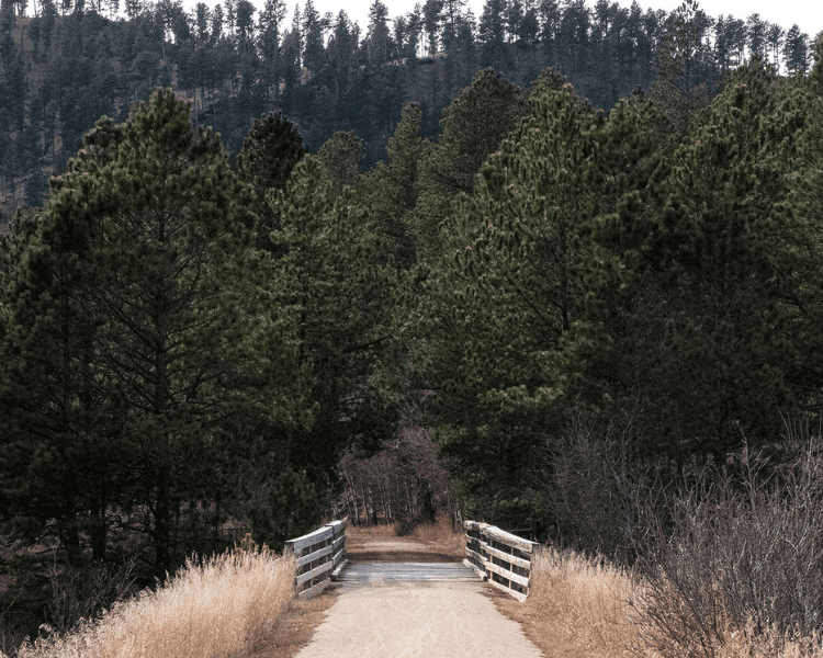 Mickelson Trail - The Mountain Trailhead pathway with bridge leading into dense forested area