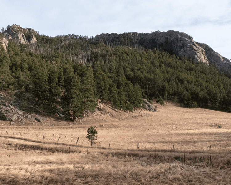 Mickelson Trail - The Mountain Trailhead view of large rock formations and pine trees